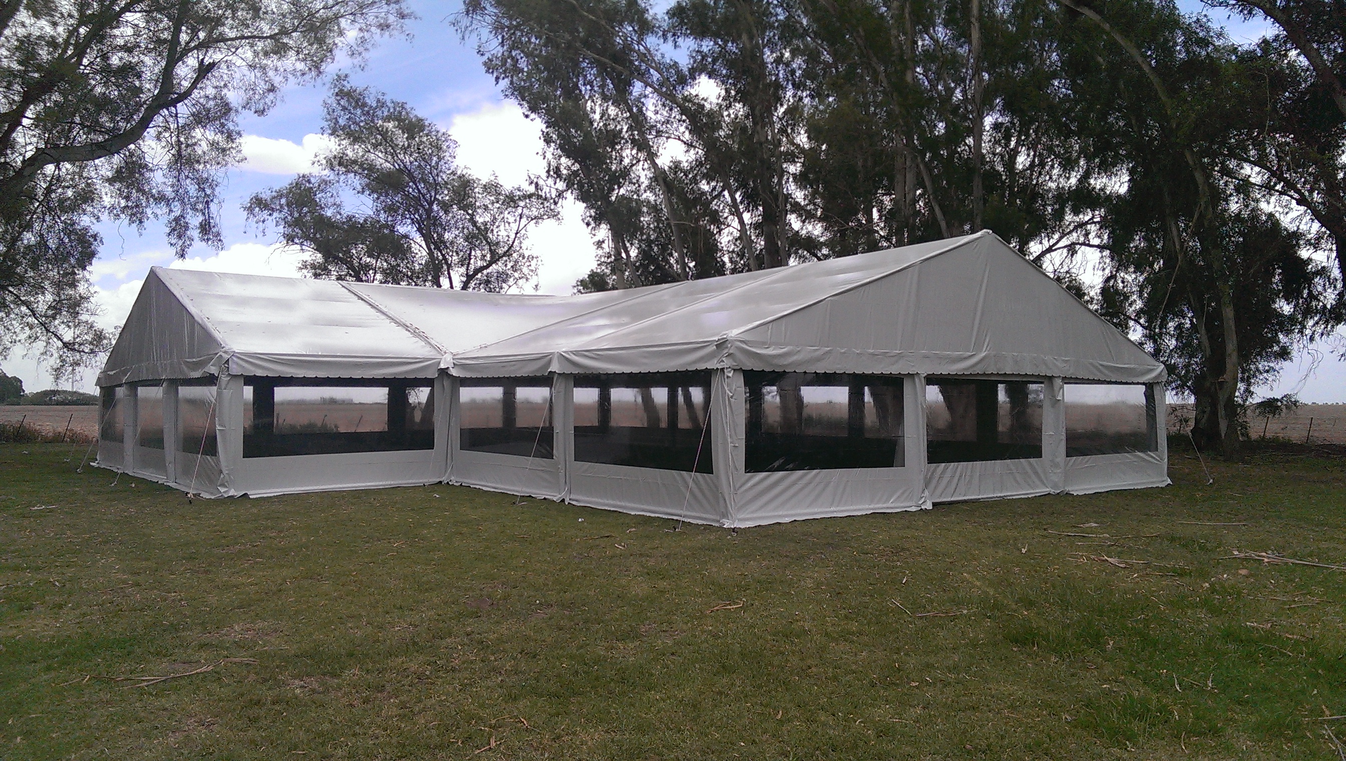 Proyecto 4